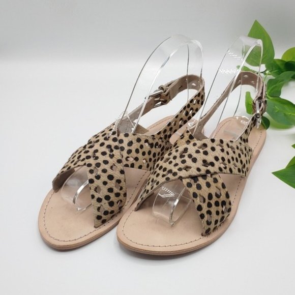 Matisse Leopard Arielle Cow Hair Sandals 9M‎ NEW - Picture 3 of 9